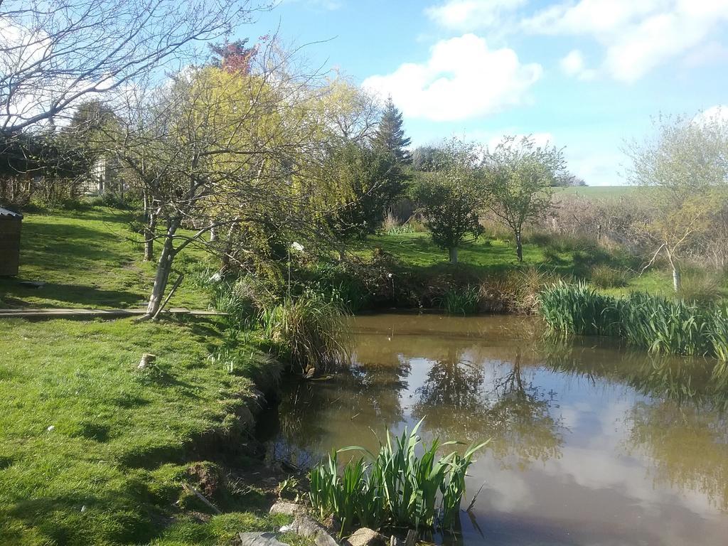 Heathergate Cottage Dartmoor Bnb リドフォード エクステリア 写真