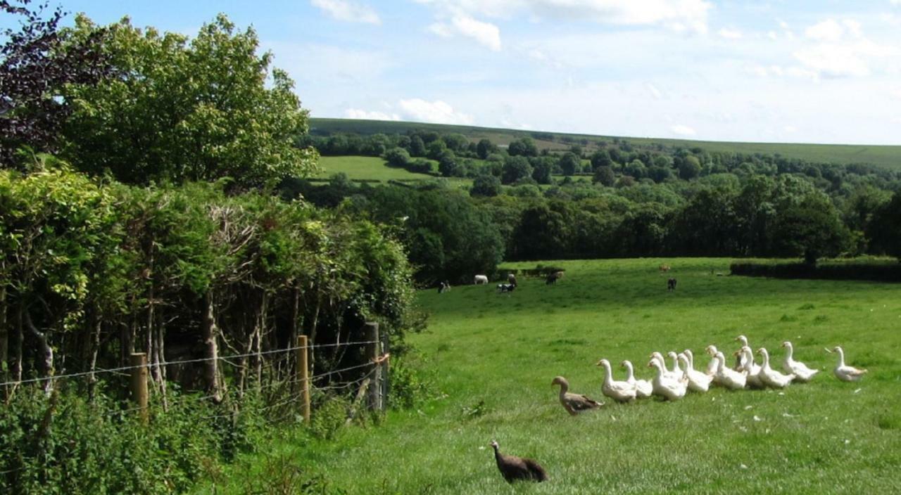 Heathergate Cottage Dartmoor Bnb リドフォード エクステリア 写真